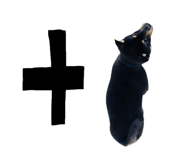 817764532