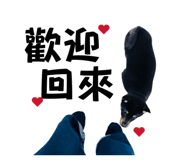817764536