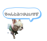 817768800