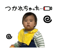 817772019