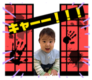 817772021