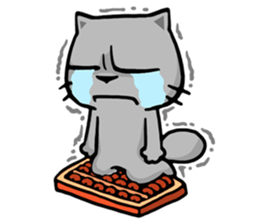 817789