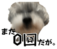 817789269