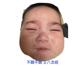 817799880