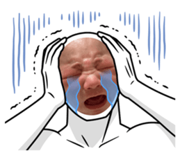 817808006