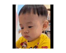 817809262