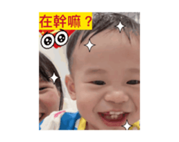 817809266