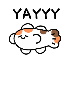 ลายที่ 11