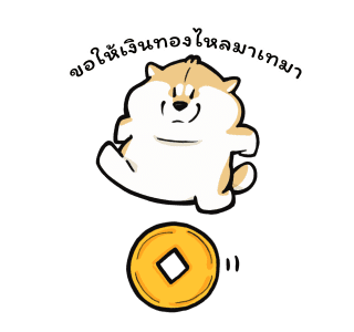 ลายที่ 13