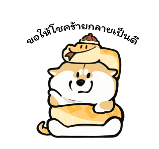 ลายที่ 17