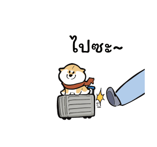 ลายที่ 21