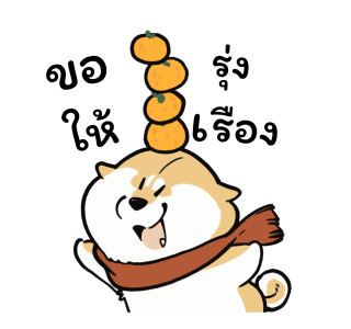 ลายที่ 23