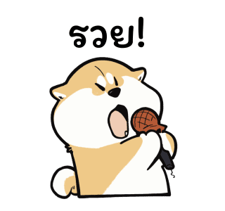 ลายที่ 29