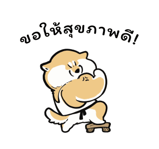 หมาน้อยโกจิ ตะลุยตรุษจีน! รูปที่ 19