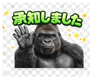 817826555