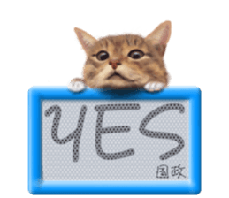 817827249