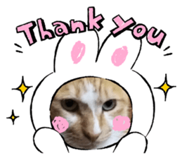 817851498