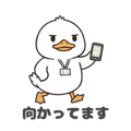 817856828
