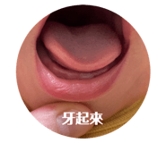 817869334