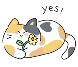 ลายที่ 13