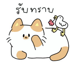 ลายที่ 17