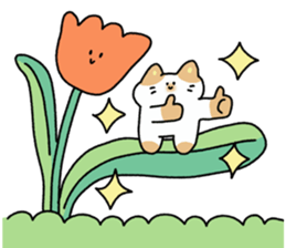 ลายที่ 19