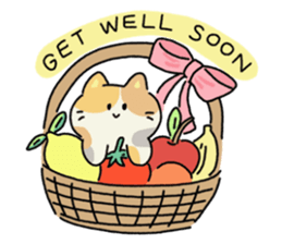 ลายที่ 23