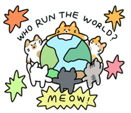 ลายที่ 25