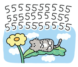 ลายที่ 27