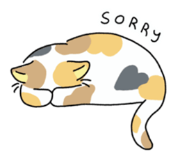 ลายที่ 29