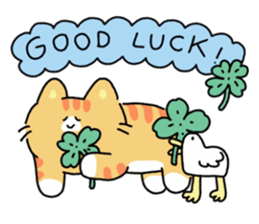 ลายที่ 31