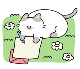 ลายที่ 35