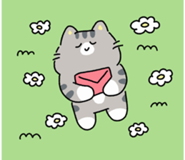 ลายที่ 45