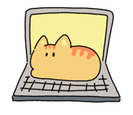 ลายที่ 47