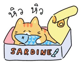 ลายที่ 51