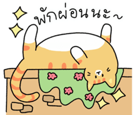 ลายที่ 69