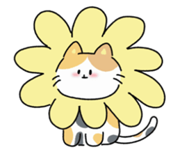 ลายที่ 71