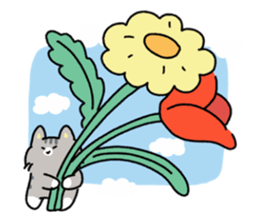 ลายที่ 77