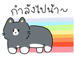 ลายที่ 79