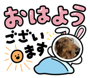 817871963