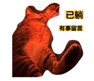 817889975