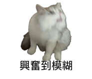 817890901