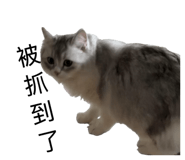 817890904