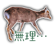 817898069