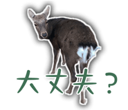 817898076