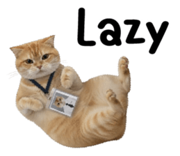 ลายที่ 1