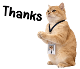 ลายที่ 9