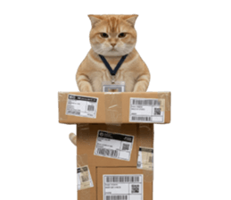 ลายที่ 11