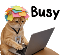 ลายที่ 13