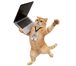 ลายที่ 25